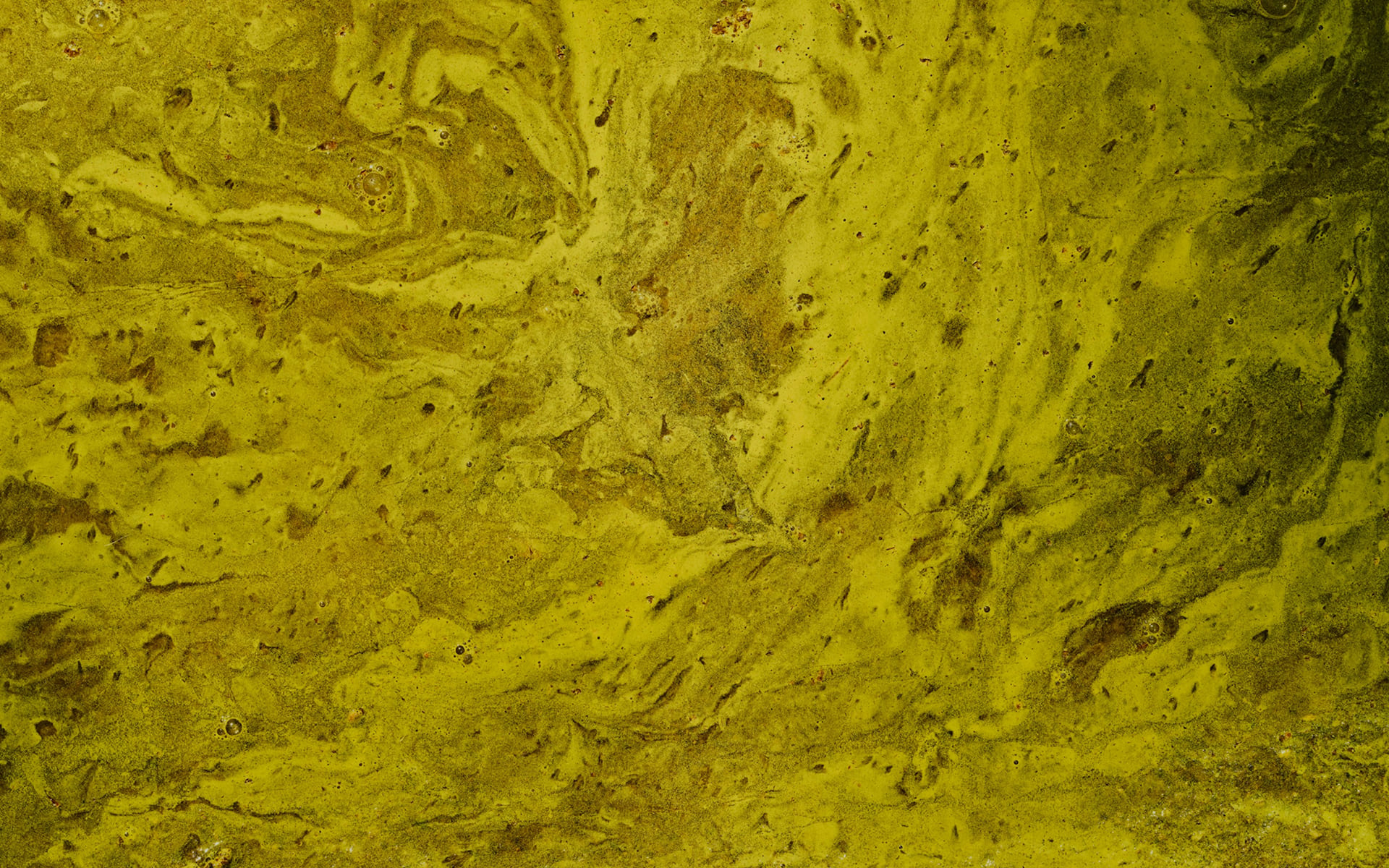 Immagine decorativa per Appius, attico panoramico con terrazza vista Dolomiti e Val d’Adige.