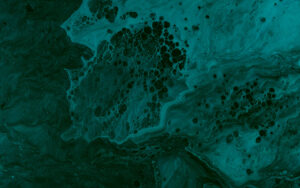 Immagine decorativa per Trattmann, bilocale con ingresso indipendente, giardino privato e finiture di pregio a San Michele Appiano.